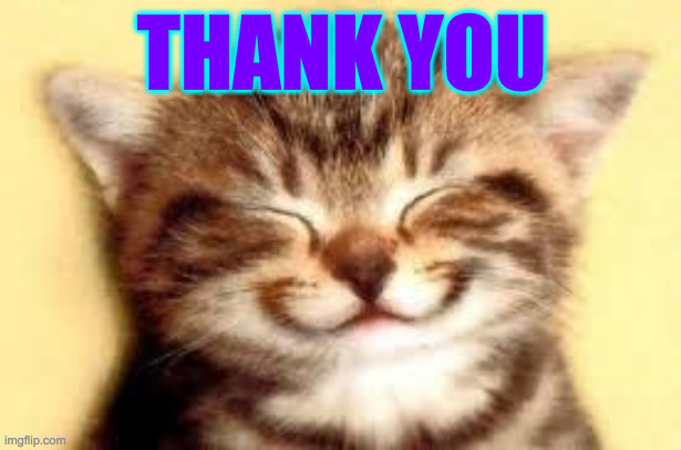 Happy Kitten | THANK YOU | image tagged in happy kitten | made w/ Imgflip meme maker