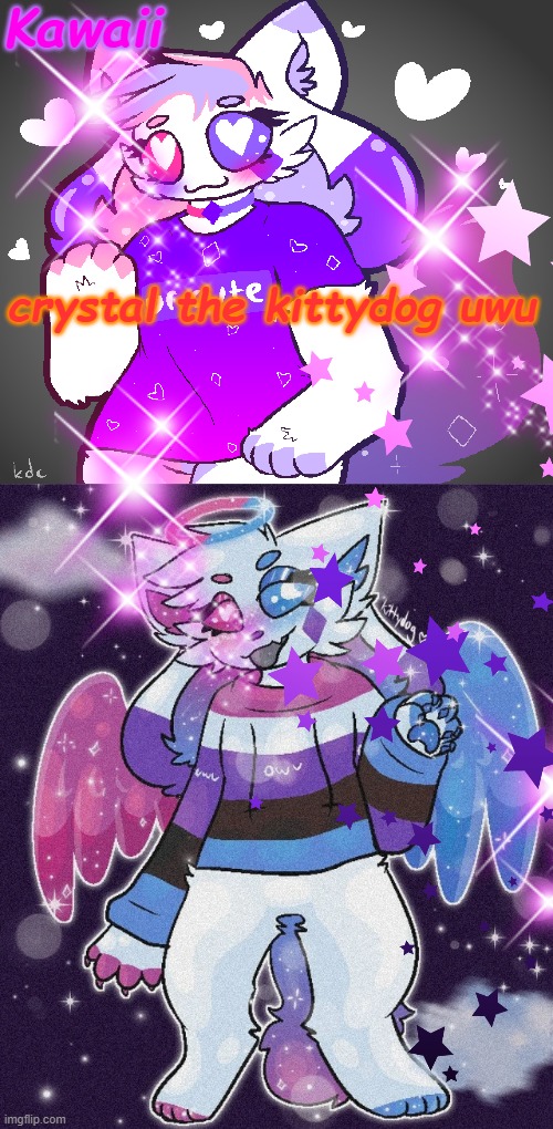 boredom | crystal the kittydog uwu | image tagged in ayyyyyy crystal got it goin on with her sparkly kittydog self | made w/ Imgflip meme maker