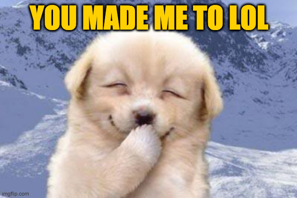 Laughing dog | YOU MADE ME TO LOL | image tagged in laughing dog | made w/ Imgflip meme maker