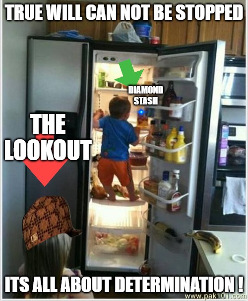 we got it | TRUE WILL CAN NOT BE STOPPED; DIAMOND
STASH; THE
LOOKOUT; ITS ALL ABOUT DETERMINATION ! | image tagged in baby getting food from fridge | made w/ Imgflip meme maker