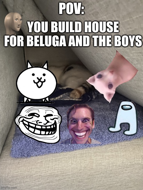 The House | YOU BUILD HOUSE FOR BELUGA AND THE BOYS; POV: | image tagged in architect cat | made w/ Imgflip meme maker