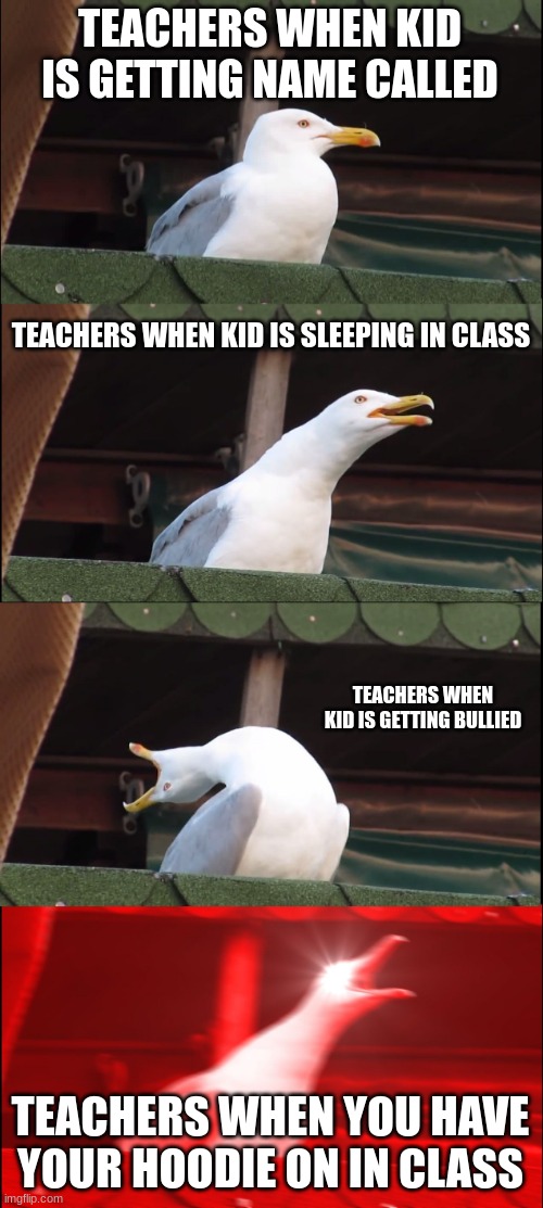 Inhaling Seagull | TEACHERS WHEN KID IS GETTING NAME CALLED; TEACHERS WHEN KID IS SLEEPING IN CLASS; TEACHERS WHEN KID IS GETTING BULLIED; TEACHERS WHEN YOU HAVE YOUR HOODIE ON IN CLASS | image tagged in memes,inhaling seagull | made w/ Imgflip meme maker
