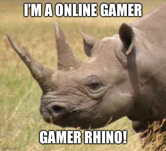 Rhino | I’M A ONLINE GAMER; GAMER RHINO! | image tagged in rhino | made w/ Imgflip meme maker