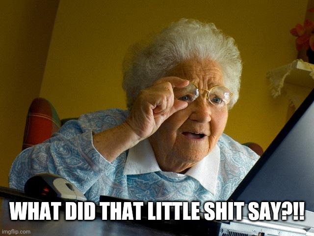 Grandma Finds The Internet Meme | WHAT DID THAT LITTLE SHIT SAY?!! | image tagged in memes,grandma finds the internet | made w/ Imgflip meme maker