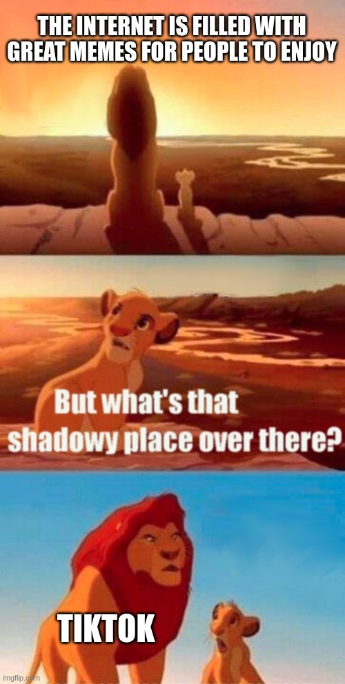 TikTok is a dark place | THE INTERNET IS FILLED WITH GREAT MEMES FOR PEOPLE TO ENJOY; TIKTOK | image tagged in memes,simba shadowy place | made w/ Imgflip meme maker