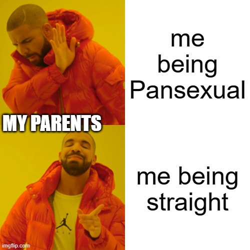 My parents.. | me being Pansexual; MY PARENTS; me being straight | image tagged in memes,drake hotline bling | made w/ Imgflip meme maker