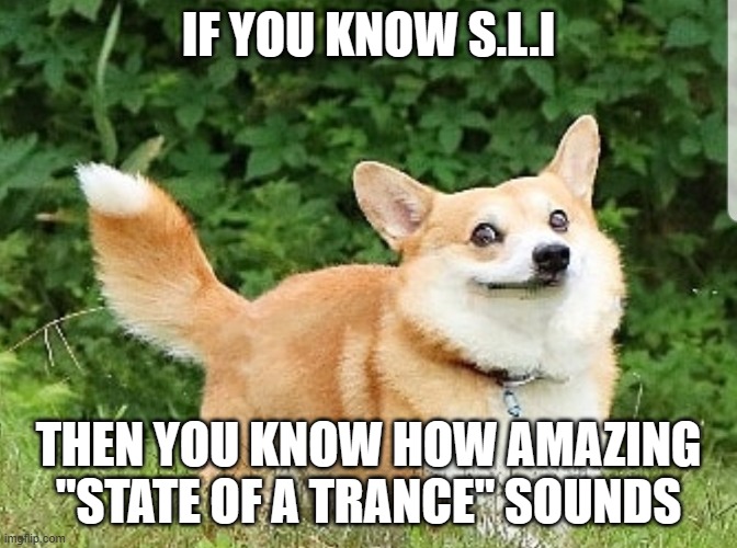 B e a u t i f u l | IF YOU KNOW S.L.I; THEN YOU KNOW HOW AMAZING "STATE OF A TRANCE" SOUNDS | image tagged in ok boomer corgi | made w/ Imgflip meme maker