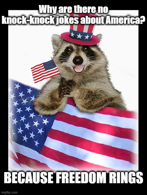 Make it ring! | Why are there no knock-knock jokes about America? BECAUSE FREEDOM RINGS | image tagged in america,knock knock,america meme,raccoon meme,maga | made w/ Imgflip meme maker