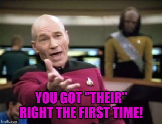 Jean Luc Picard | YOU GOT "THEIR" RIGHT THE FIRST TIME! | image tagged in jean luc picard | made w/ Imgflip meme maker