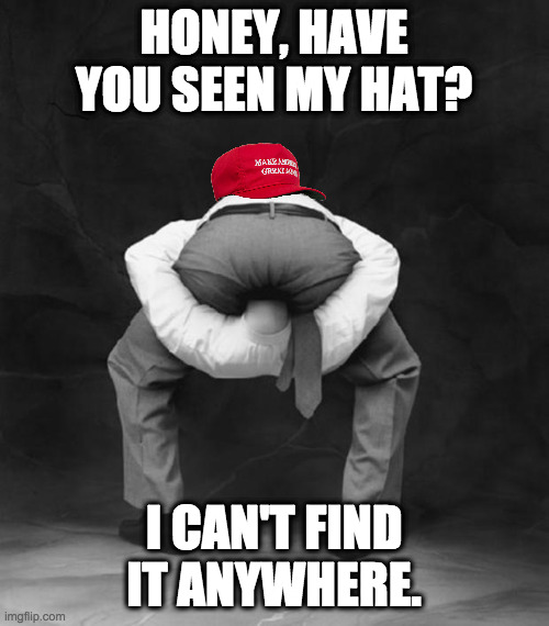 Head Up Ass | HONEY, HAVE YOU SEEN MY HAT? I CAN'T FIND IT ANYWHERE. | image tagged in head up ass | made w/ Imgflip meme maker
