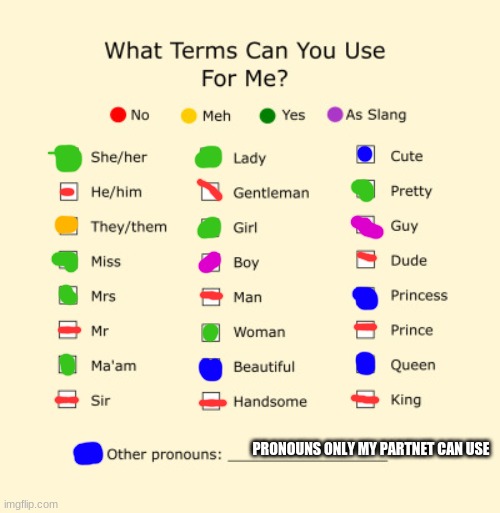 PRONOUNS ONLY MY PARTNER CAN USE | made w/ Imgflip meme maker