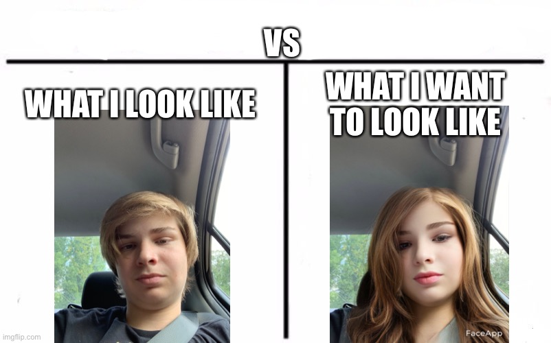 Who Would Win? | VS; WHAT I LOOK LIKE; WHAT I WANT TO LOOK LIKE | image tagged in memes,who would win,transgender | made w/ Imgflip meme maker