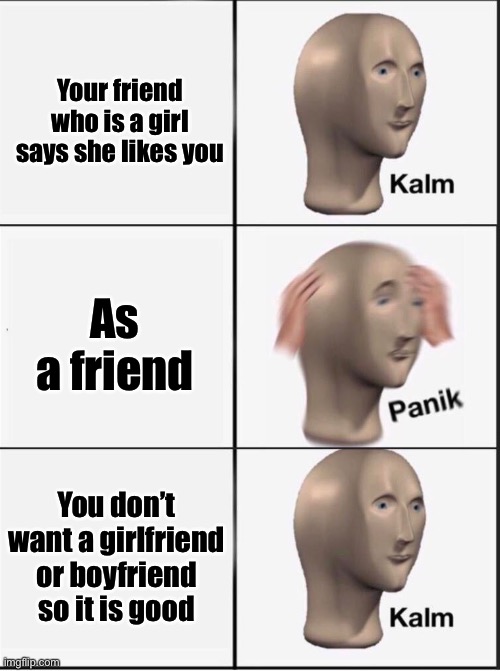 Reverse kalm panik | Your friend who is a girl says she likes you; As a friend; You don’t want a girlfriend or boyfriend so it is good | image tagged in reverse kalm panik | made w/ Imgflip meme maker