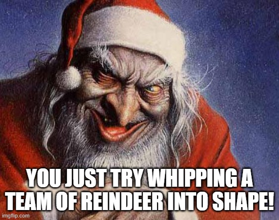 Evil Santa | YOU JUST TRY WHIPPING A TEAM OF REINDEER INTO SHAPE! | image tagged in evil santa | made w/ Imgflip meme maker