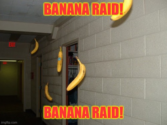 Flying bananas | BANANA RAID! BANANA RAID! | image tagged in flying bananas | made w/ Imgflip meme maker