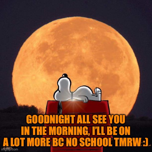 Goodnight :D | GOODNIGHT ALL SEE YOU IN THE MORNING, I’LL BE ON A LOT MORE BC NO SCHOOL TMRW :) | image tagged in goodnight | made w/ Imgflip meme maker