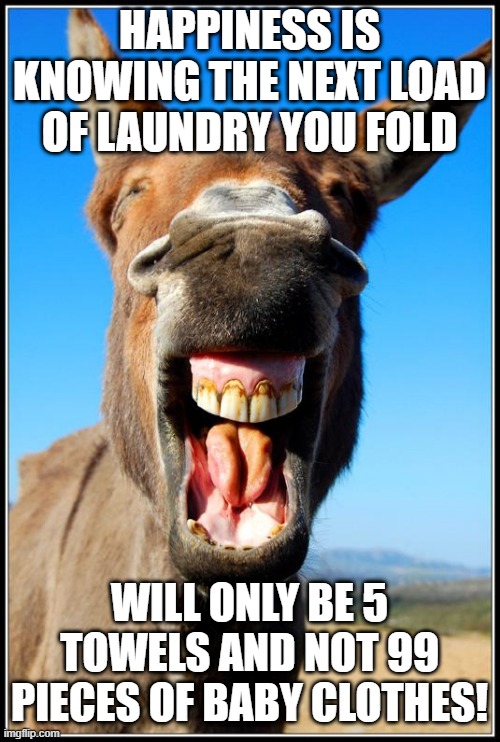 Baby Clothes No More! | HAPPINESS IS KNOWING THE NEXT LOAD OF LAUNDRY YOU FOLD; WILL ONLY BE 5 TOWELS AND NOT 99 PIECES OF BABY CLOTHES! | image tagged in happy donkey | made w/ Imgflip meme maker