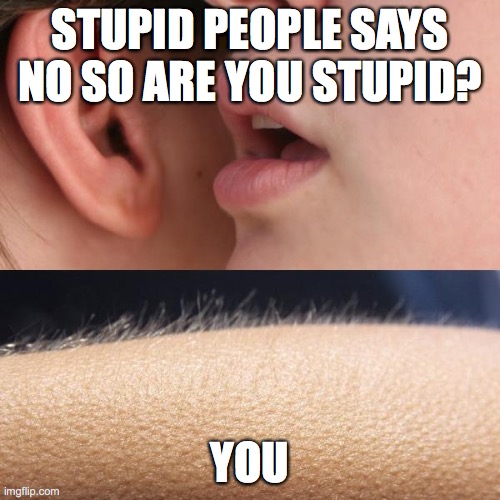 Whisper and Goosebumps |  STUPID PEOPLE SAYS NO SO ARE YOU STUPID? YOU | image tagged in whisper and goosebumps | made w/ Imgflip meme maker