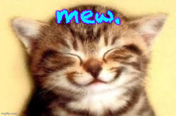 Happy Kitten | mew. | image tagged in happy kitten | made w/ Imgflip meme maker