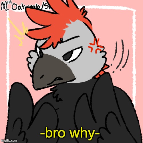 -bro why- | image tagged in angry raptor | made w/ Imgflip meme maker