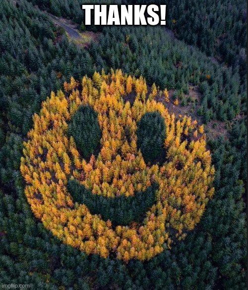 tree smile | THANKS! | image tagged in tree smile | made w/ Imgflip meme maker