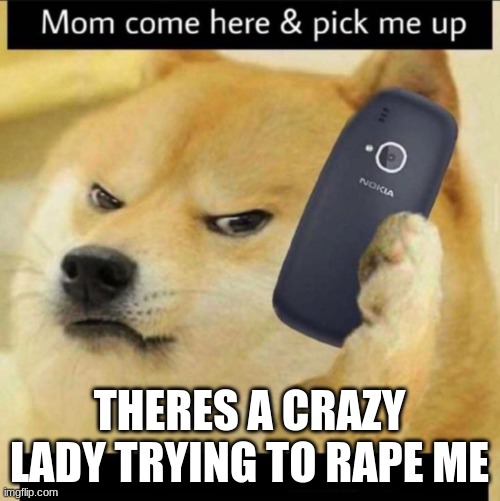 Mom Pick Me Up Doge | THERES A CRAZY LADY TRYING TO RAPE ME | image tagged in mom pick me up doge | made w/ Imgflip meme maker