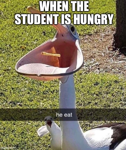 Student Sus | WHEN THE STUDENT IS HUNGRY | image tagged in pelican,french fries,school,student | made w/ Imgflip meme maker