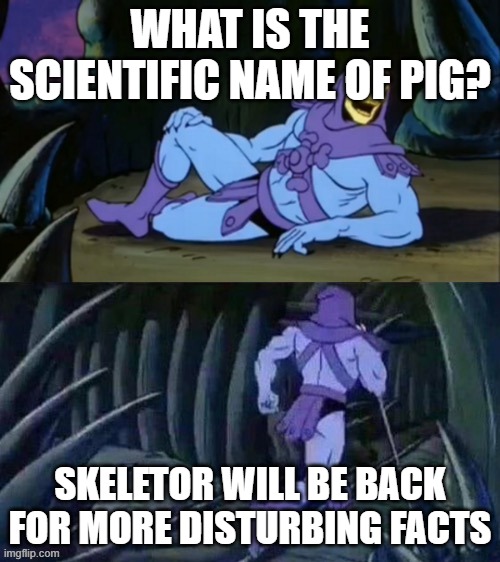 Skeletor disturbing facts | WHAT IS THE SCIENTIFIC NAME OF PIG? SKELETOR WILL BE BACK FOR MORE DISTURBING FACTS | image tagged in skeletor disturbing facts,funny,cartoon,sushi | made w/ Imgflip meme maker