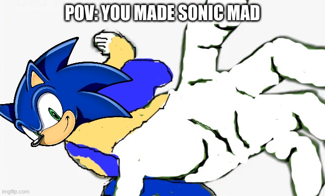 POV: YOU MADE SONIC MAD | made w/ Imgflip meme maker