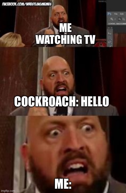 the big show | ME WATCHING TV; COCKROACH: HELLO; ME: | image tagged in the big show | made w/ Imgflip meme maker
