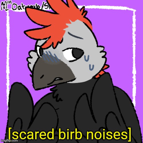 Confuzzled Raptor | [scared birb noises] | image tagged in confuzzled raptor | made w/ Imgflip meme maker