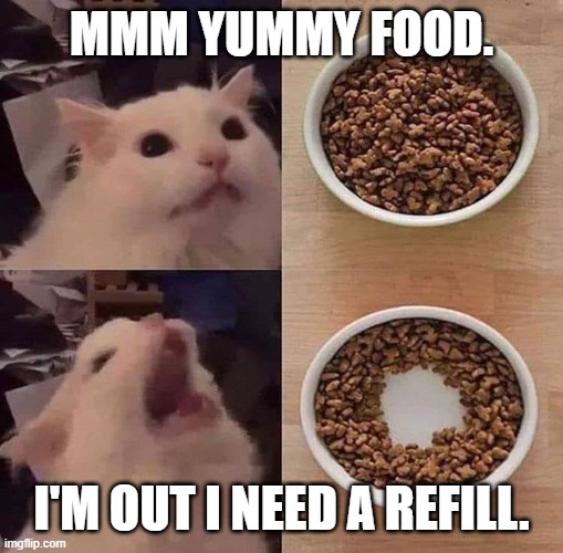 When a Cat sees an empty spot on the bowl. |  MMM YUMMY FOOD. I'M OUT I NEED A REFILL. | image tagged in cat | made w/ Imgflip meme maker
