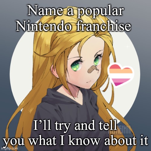 Updated Holly | Name a popular Nintendo franchise; I’ll try and tell you what I know about it | image tagged in updated holly | made w/ Imgflip meme maker