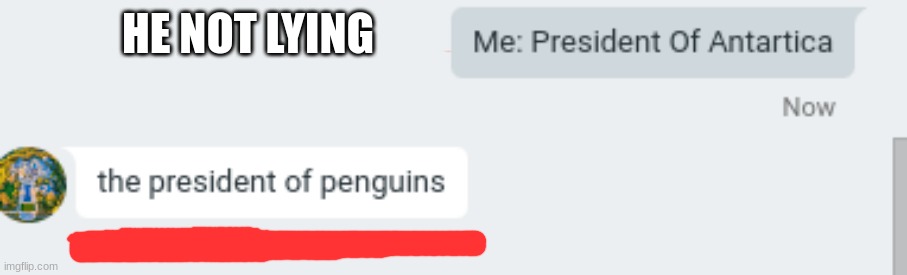 I Mean- | HE NOT LYING | image tagged in penguins,antarctica | made w/ Imgflip meme maker