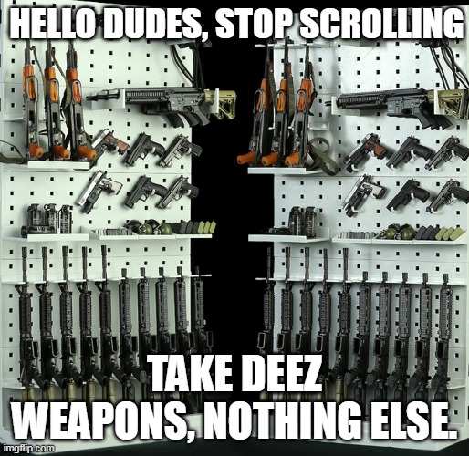 take everythin | HELLO DUDES, STOP SCROLLING; TAKE DEEZ WEAPONS, NOTHING ELSE. | image tagged in e | made w/ Imgflip meme maker