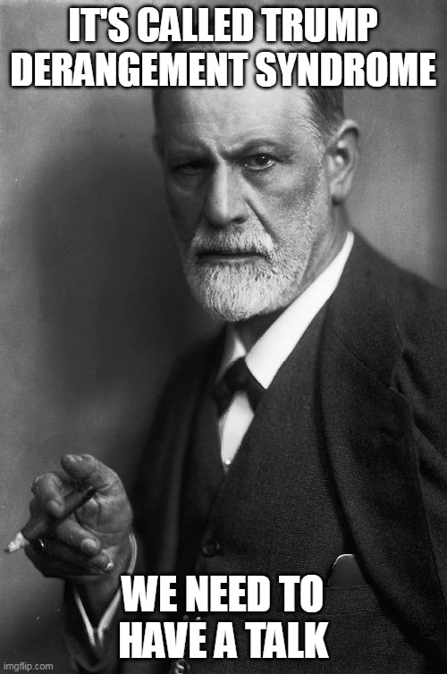 Sigmund Freud Meme | IT'S CALLED TRUMP DERANGEMENT SYNDROME WE NEED TO HAVE A TALK | image tagged in memes,sigmund freud | made w/ Imgflip meme maker