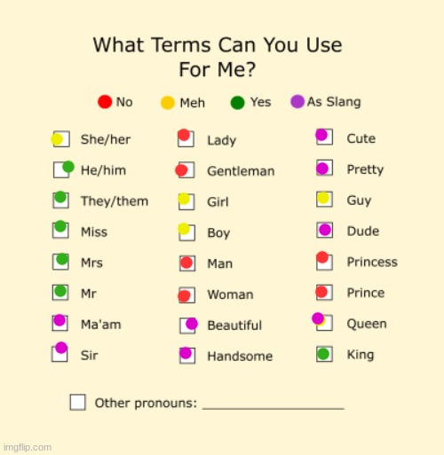 i updated it | image tagged in pronouns sheet | made w/ Imgflip meme maker