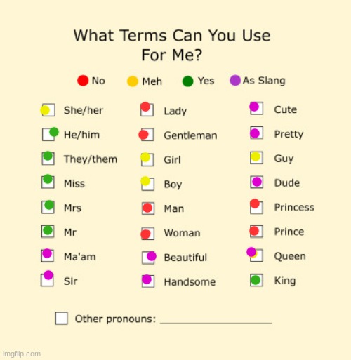 i updated it lol | image tagged in pronouns sheet | made w/ Imgflip meme maker