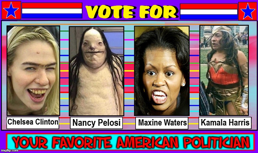Your Fav Leader Needs Your Vote (register your choice below) | Kamala Harris; Maxine Waters; Nancy Pelosi; Chelsea Clinton; YOUR FAVORITE AMERICAN POLITICIAN | image tagged in vince vance,chelsea clinton,nancy pelosi,maxine waters,kamala harris,michelle obama | made w/ Imgflip meme maker