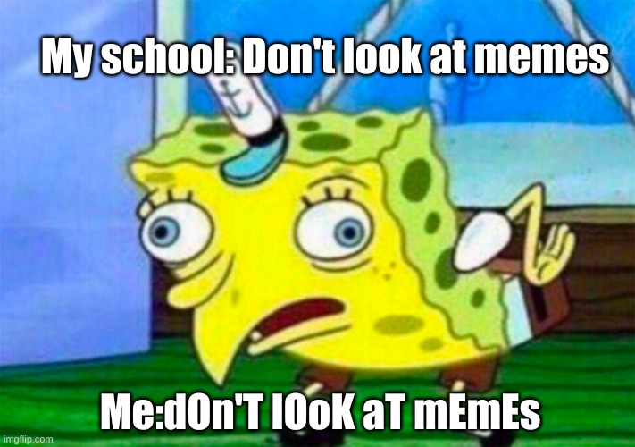 Mocking Spongebob | My school: Don't look at memes; Me:dOn'T lOoK aT mEmEs | image tagged in mocking spongebob | made w/ Imgflip meme maker