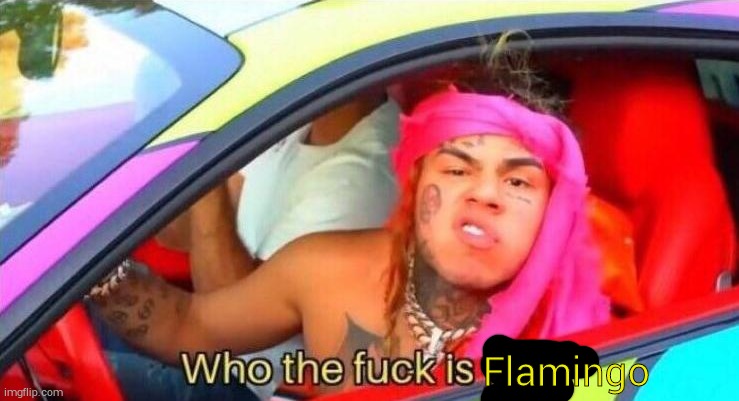 6ix 9ine who the fuck is you | Flamingo | image tagged in 6ix 9ine who the fuck is you | made w/ Imgflip meme maker