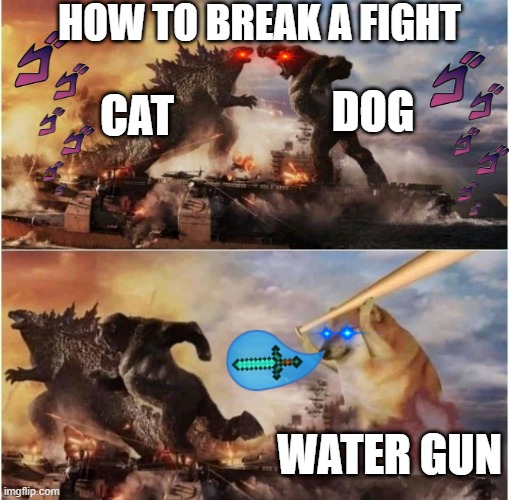 how to break a fight | HOW TO BREAK A FIGHT; DOG; CAT; WATER GUN | image tagged in kong godzilla doge,dogz,catz,doge,water gun,are you really reading thiz | made w/ Imgflip meme maker