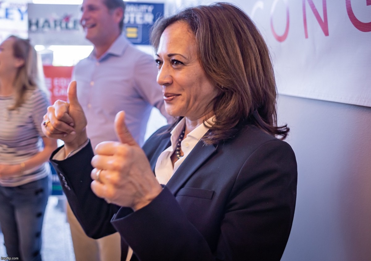 Kamala Harris thumbs up | image tagged in kamala harris thumbs up | made w/ Imgflip meme maker