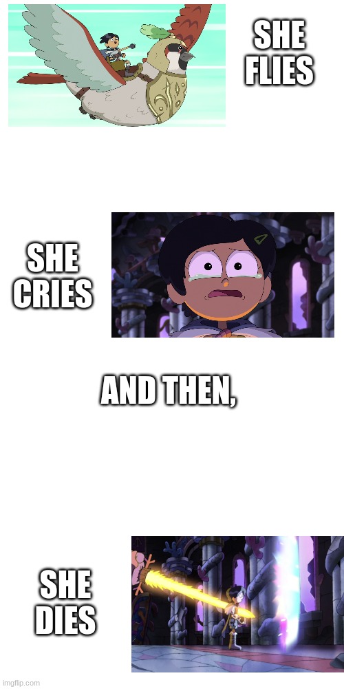 spoiler |  SHE FLIES; SHE CRIES; AND THEN, SHE DIES | image tagged in memes,blank transparent square,funny,amphibia | made w/ Imgflip meme maker