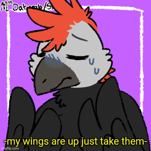 Uh Raptor | -my wings are up just take them- | image tagged in uh raptor | made w/ Imgflip meme maker