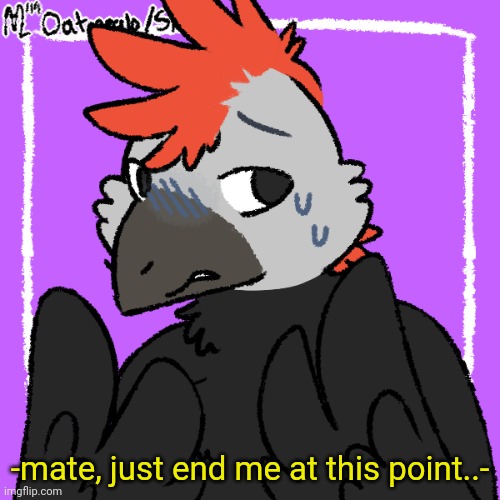 Confuzzled Raptor | -mate, just end me at this point..- | image tagged in confuzzled raptor | made w/ Imgflip meme maker