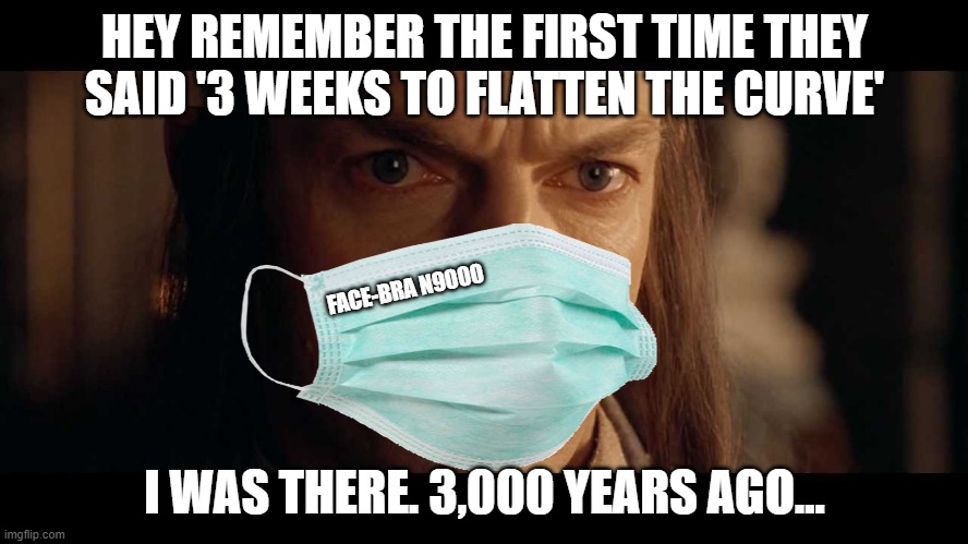 The ride never stops | HEY REMEMBER THE FIRST TIME THEY SAID '3 WEEKS TO FLATTEN THE CURVE'; FACE-BRA N9000; I WAS THERE. 3,000 YEARS AGO... | image tagged in coronavirus meme,remember | made w/ Imgflip meme maker