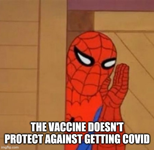 Spider-Man Whisper | THE VACCINE DOESN'T PROTECT AGAINST GETTING COVID | image tagged in spider-man whisper | made w/ Imgflip meme maker