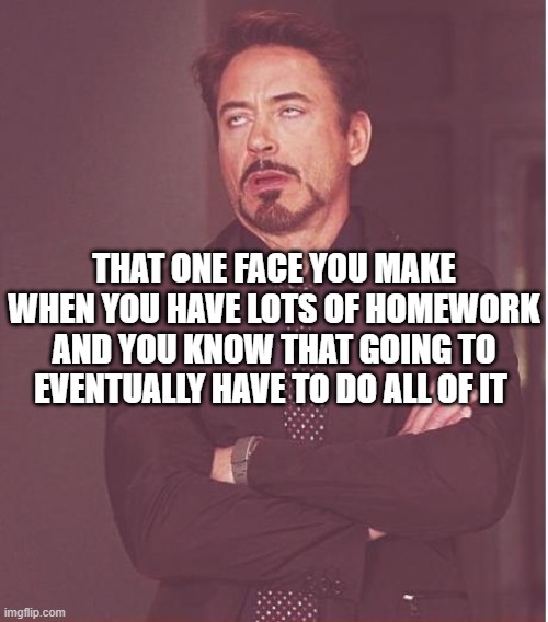 hi | THAT ONE FACE YOU MAKE WHEN YOU HAVE LOTS OF HOMEWORK AND YOU KNOW THAT GOING TO EVENTUALLY HAVE TO DO ALL OF IT | image tagged in memes,face you make robert downey jr | made w/ Imgflip meme maker