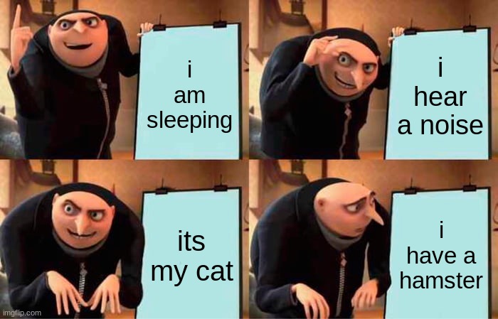 Gru's Plan | i am sleeping; i hear a noise; its my cat; i have a hamster | image tagged in memes,gru's plan | made w/ Imgflip meme maker